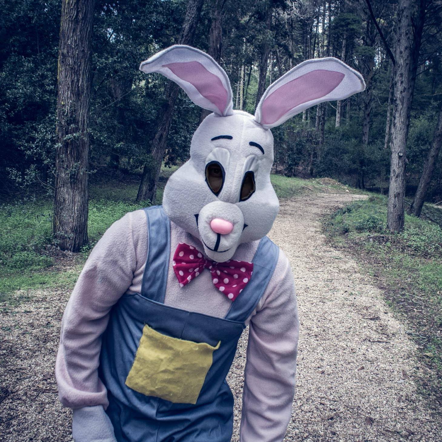 Danger Rabbit