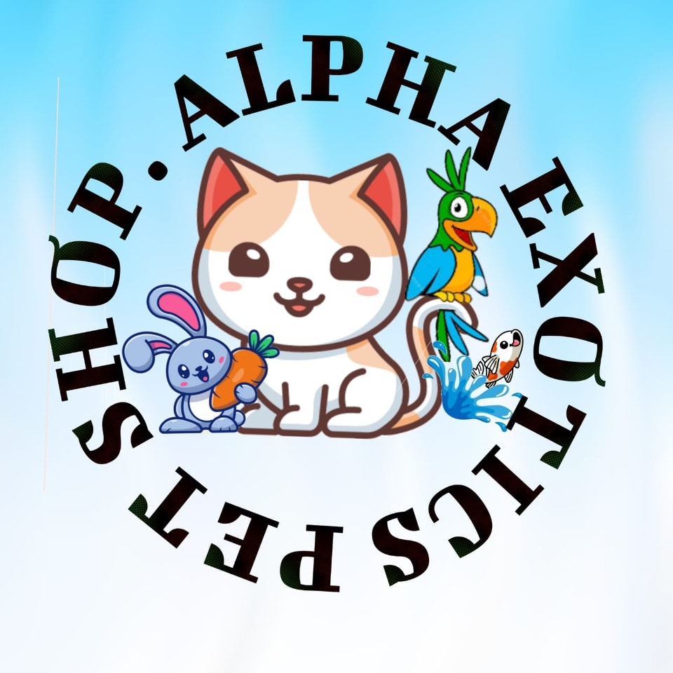 Alpha Exotics Pet Shop | Aurangabad