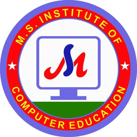 M.S Computer institute