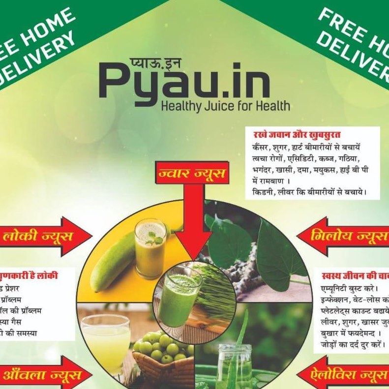 Pyau.in | Jaipur