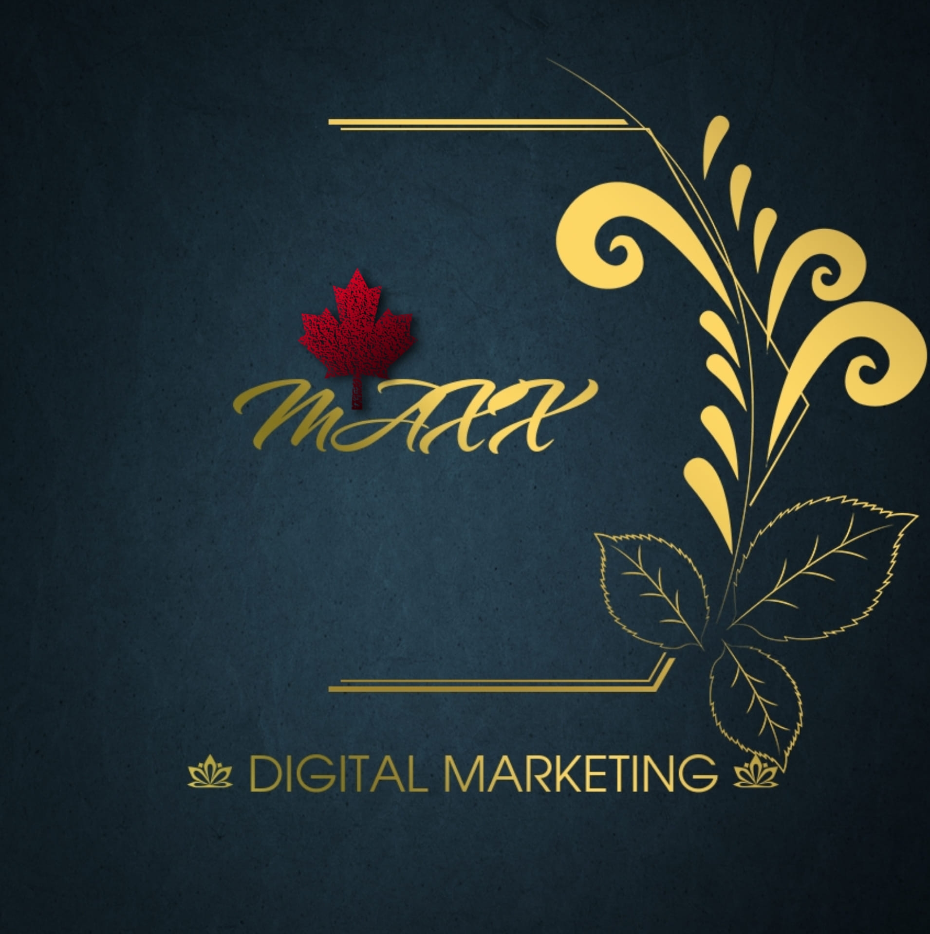 IMAXX DIGIM