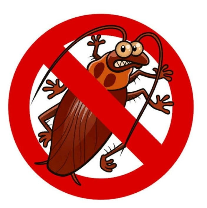 Target killer -cockroach