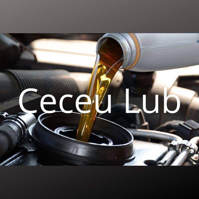 Ceceu Lub