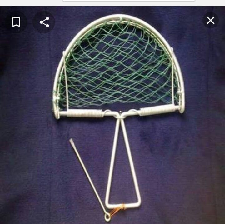 فخ صيد الطيور والسمك