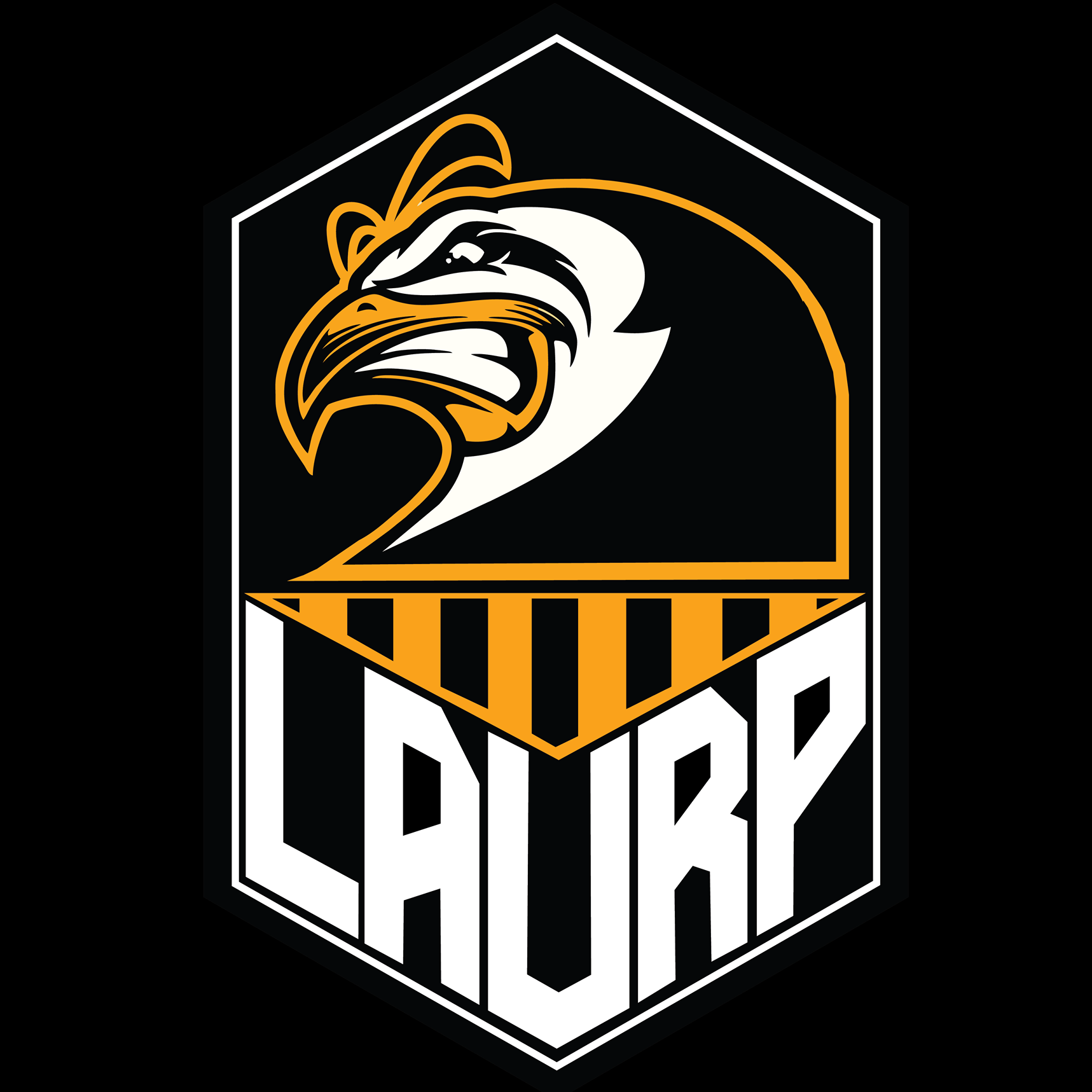 Gorilletez - Basquete Feminino FEA USP Ribeirão Preto