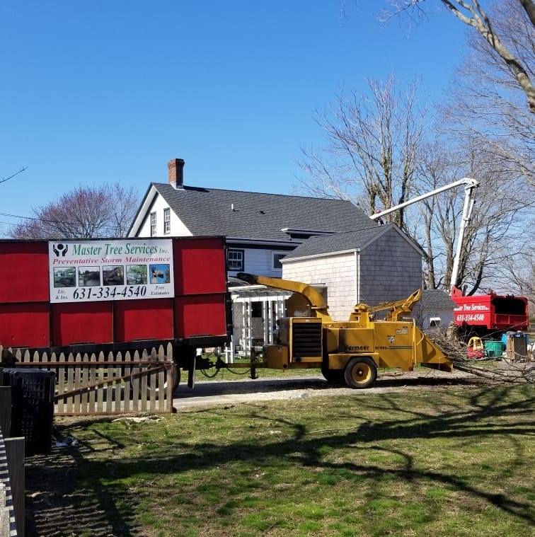 Master Tree Services Inc | New York NY