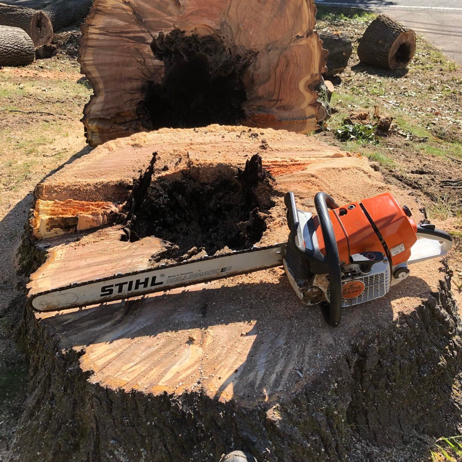 ASC Tree Service Inc. | Derry NH