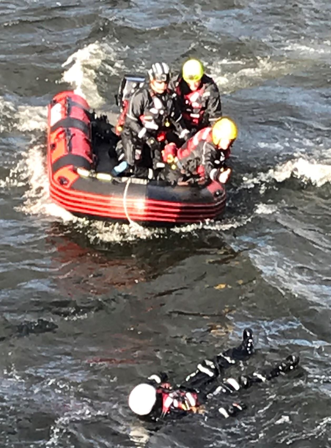 Professional Rescue | Poole
