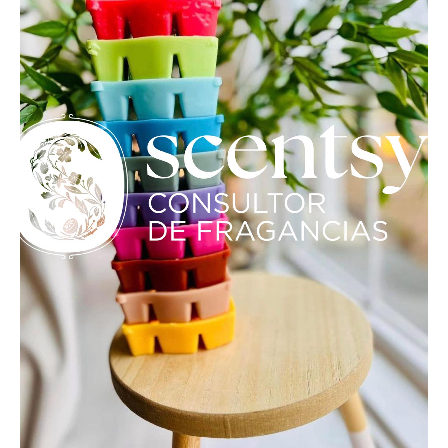 Scentsy Aromas Mty | Monterrey