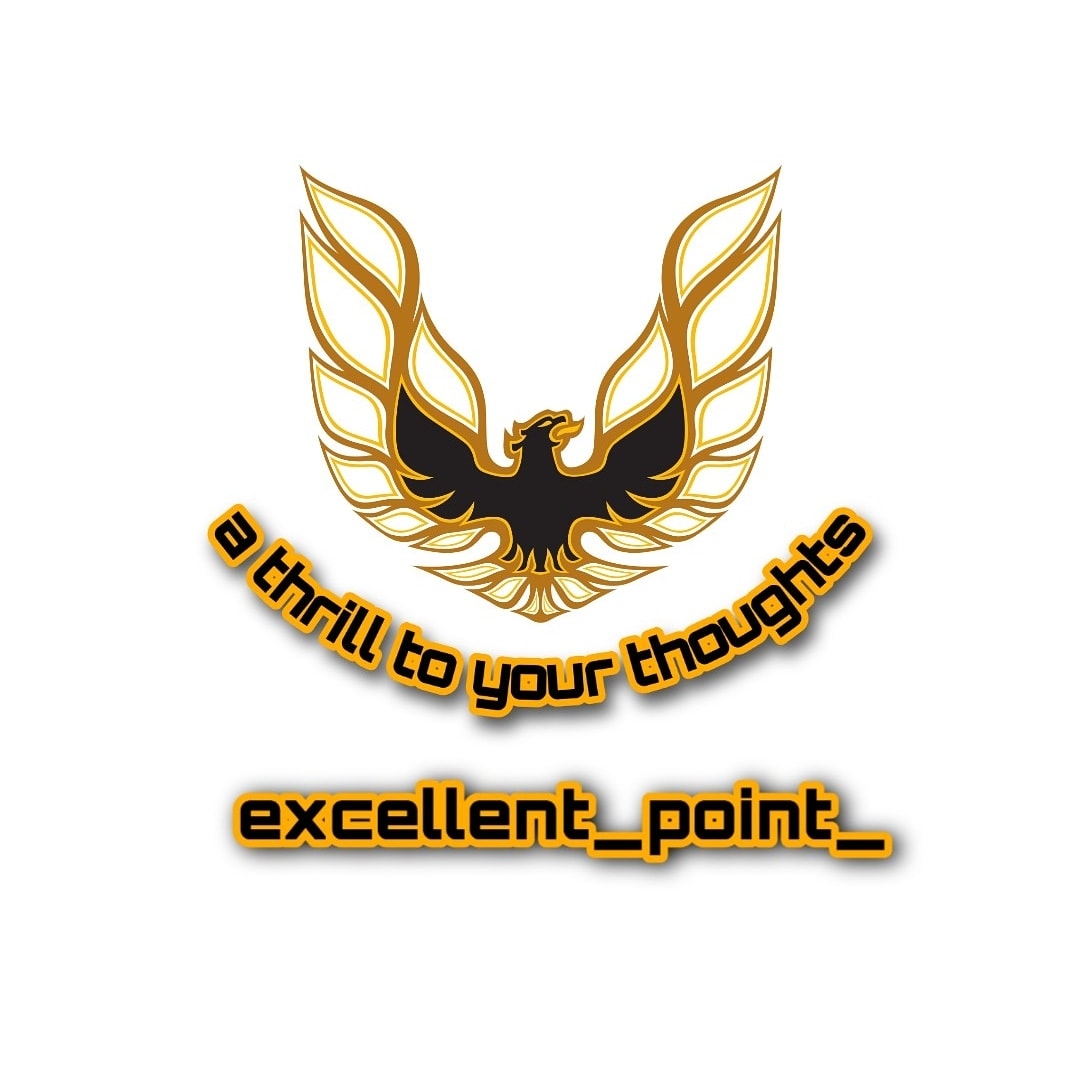 excellent_point_