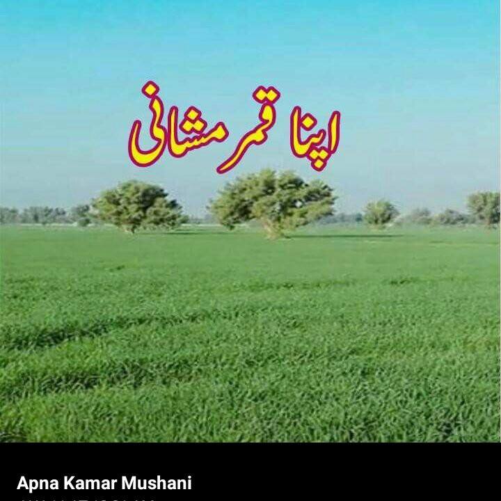 New, Apna Kamar Mushani
