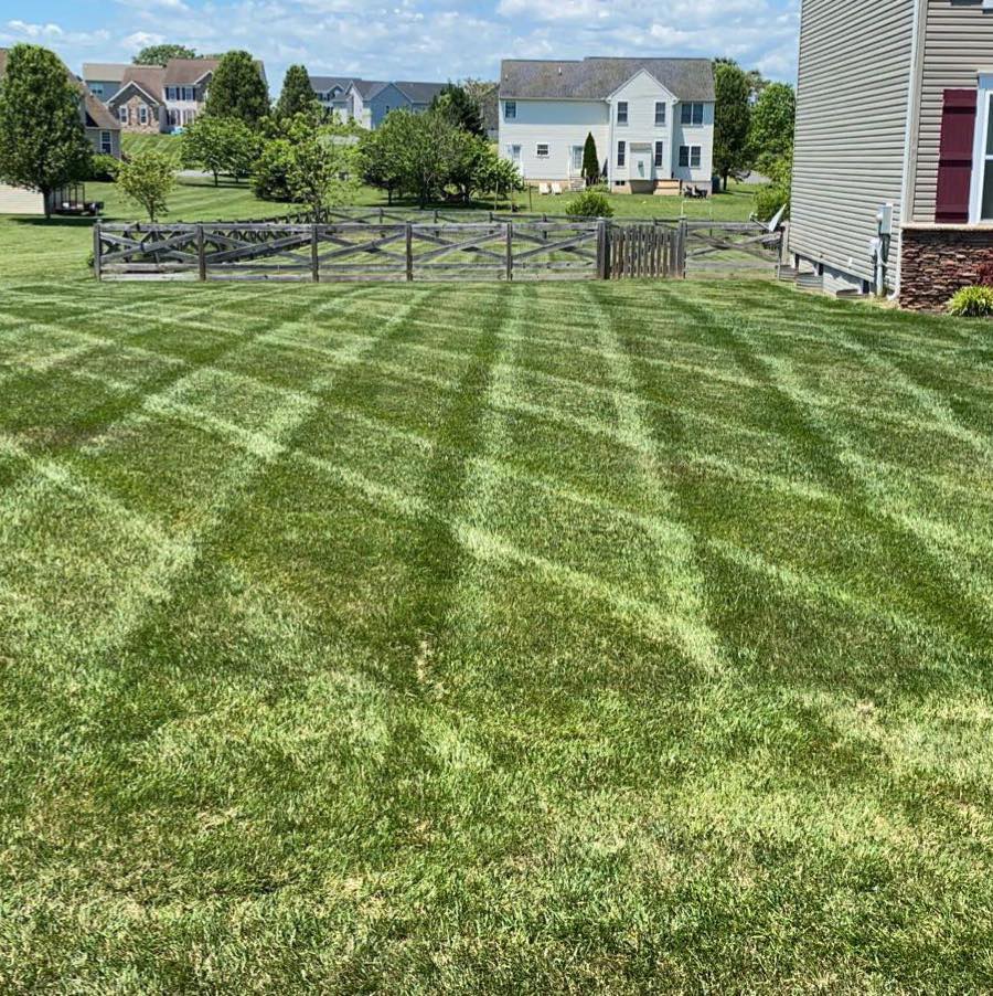 Buddy’s Lawn Care
