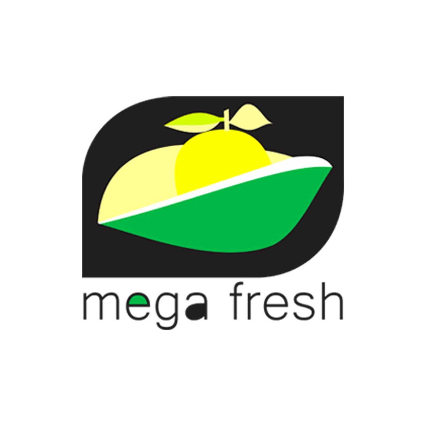 Mega Fresh e Serviços, Lda | Chimoio