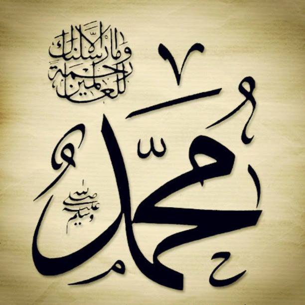 Minhaj ul Rasool