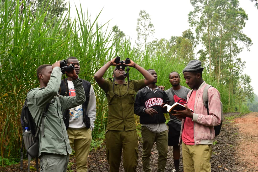 Red rocks bird watching | Musanze