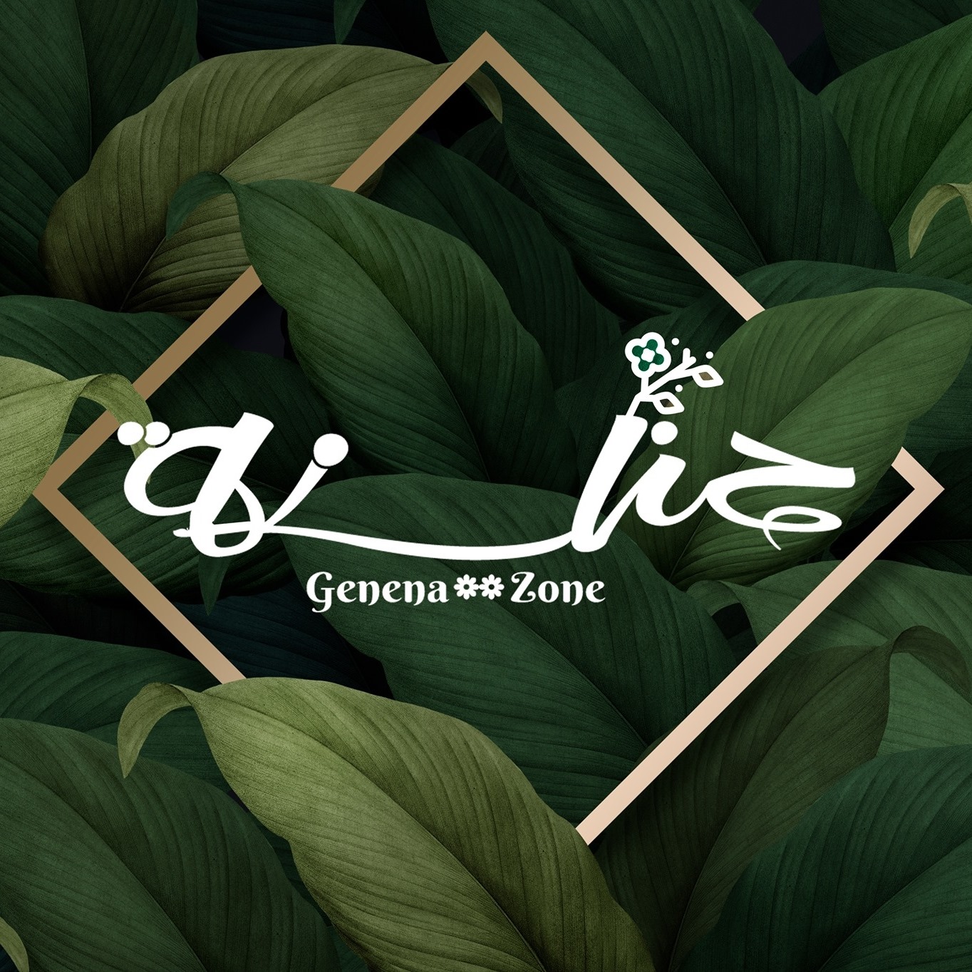 Genena - جنينة | Monshat Naser