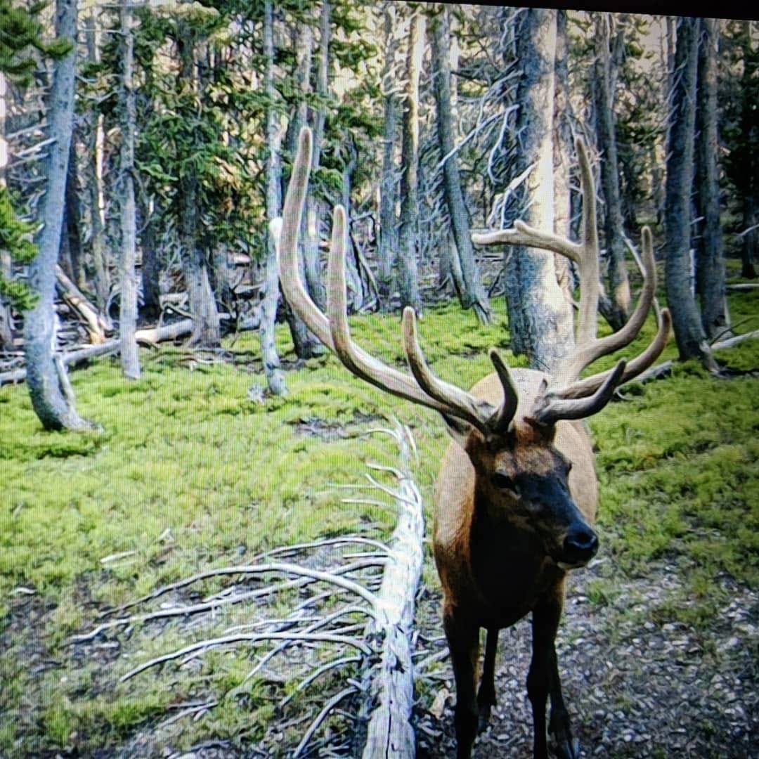 One More Ridge Outdoors