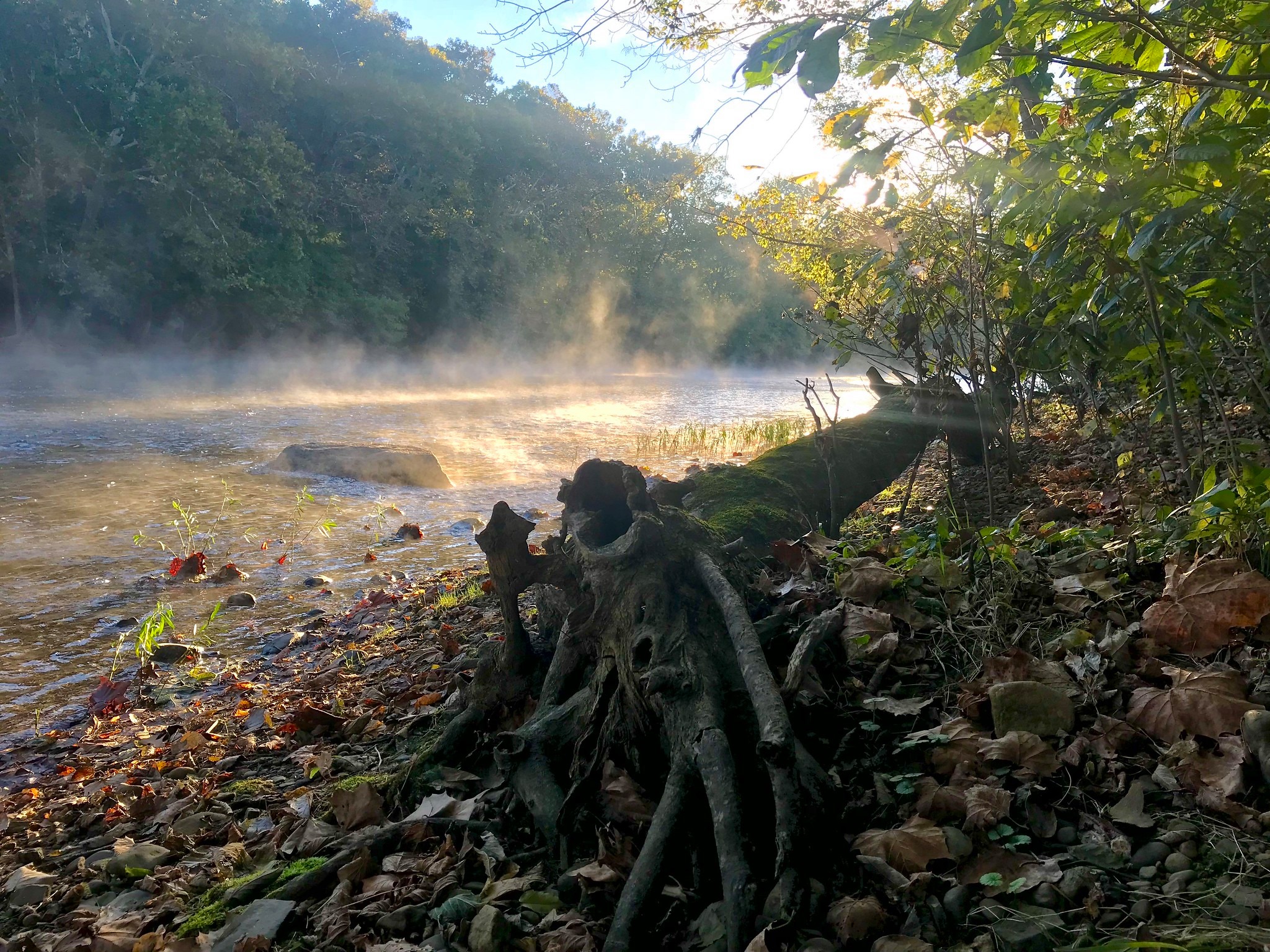 Discounts for Virginia State Parks