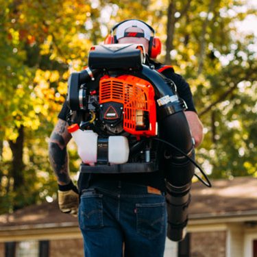Can We Share Trimmer?: The Ultimate Guide to Safe Sharing