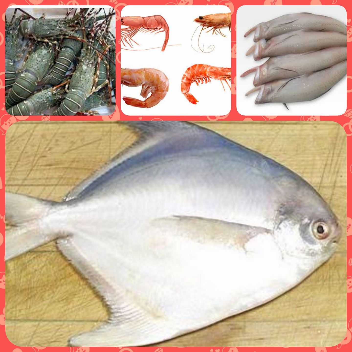 Online Fish Service | Boisar