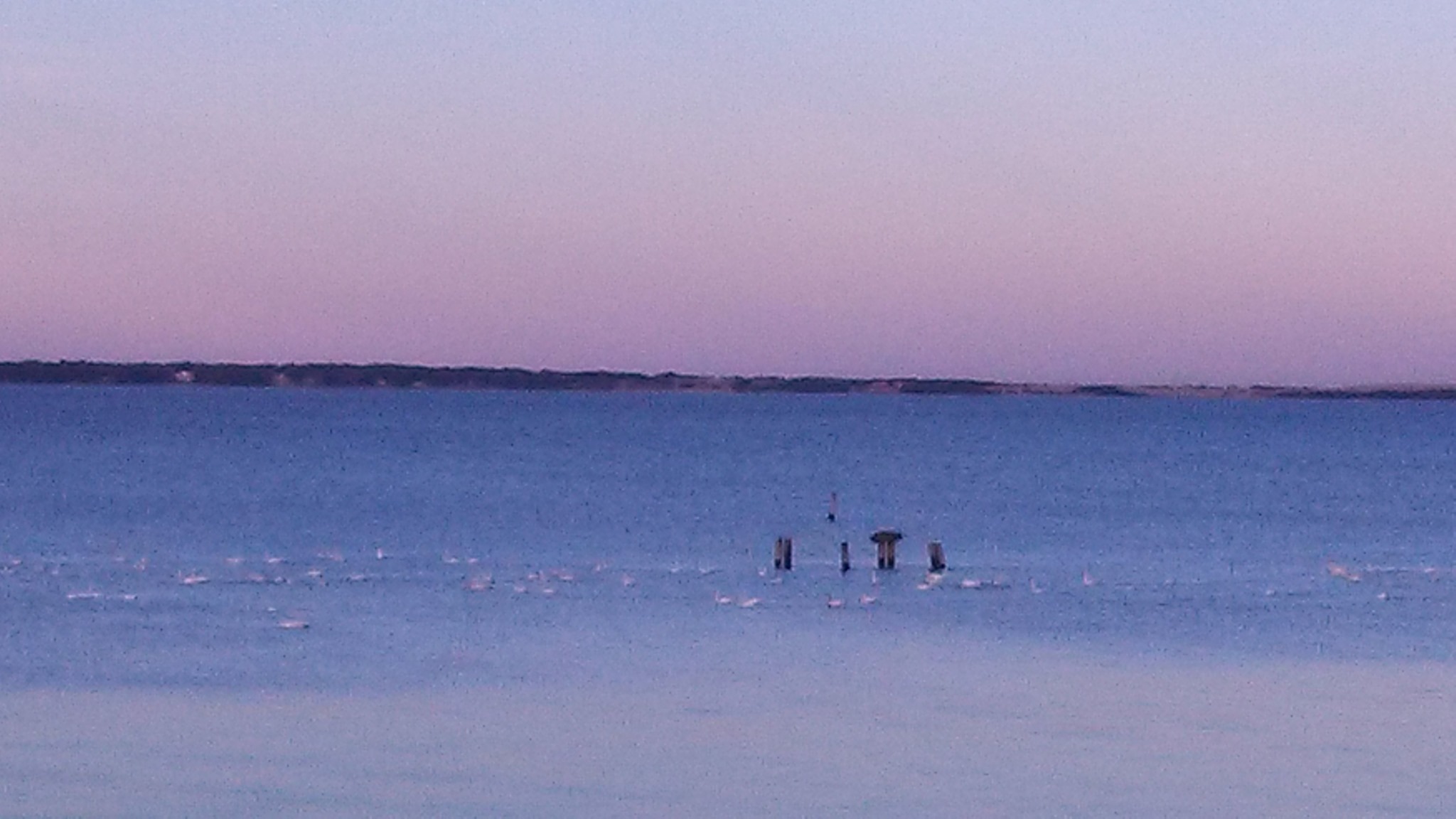 OBX, Outer Banks NC | Looking to see where everyone goes for computer ...