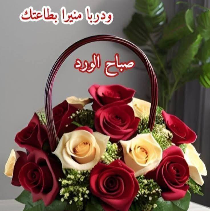 نها