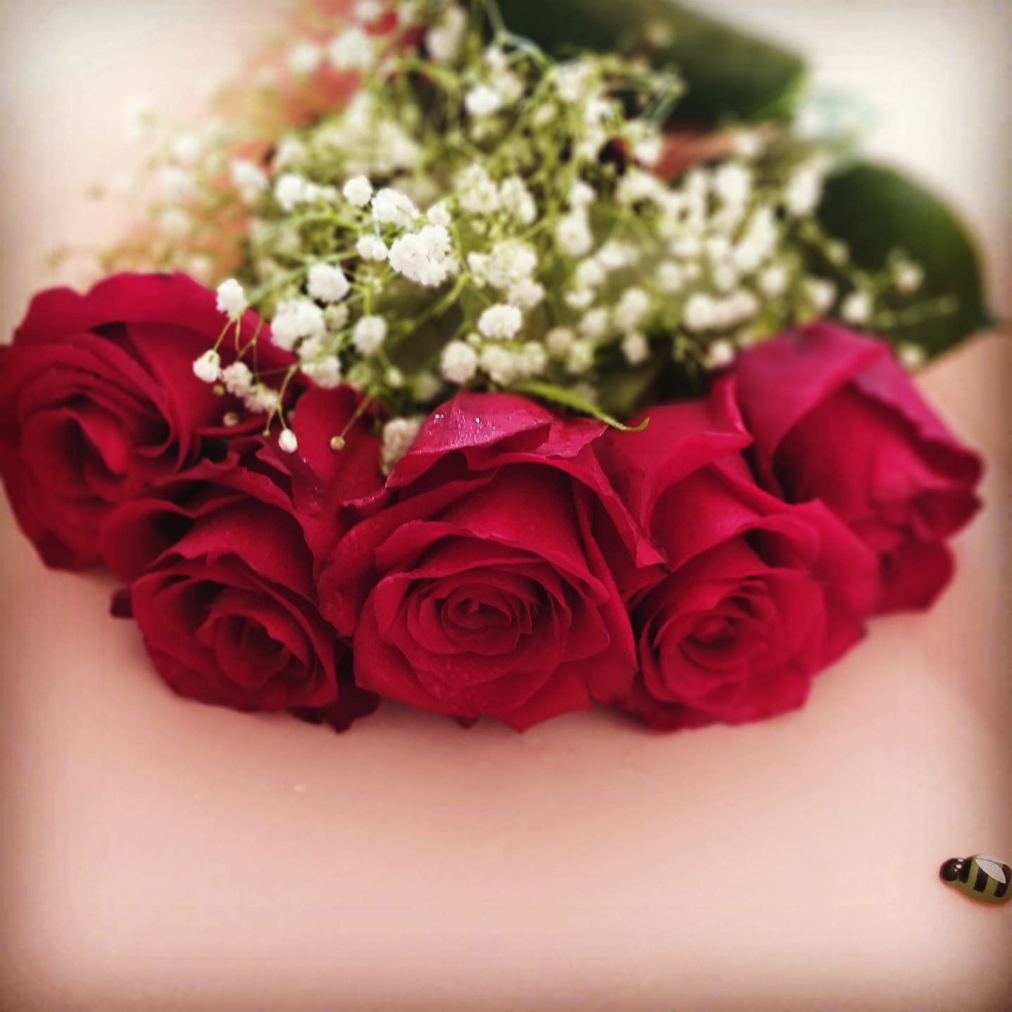 باقة ورد طبيعي