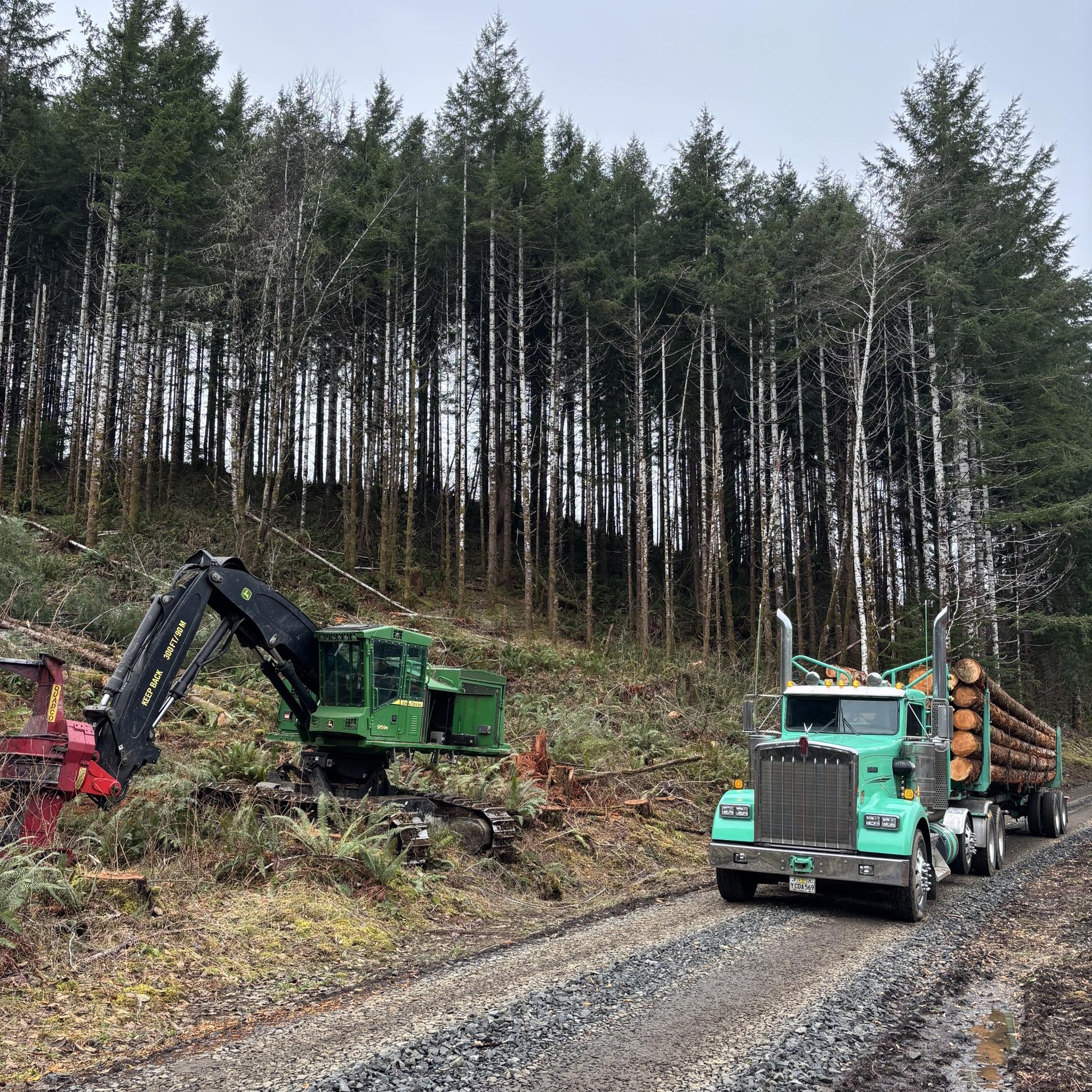 Fall Creek Logging | Grand Ronde OR