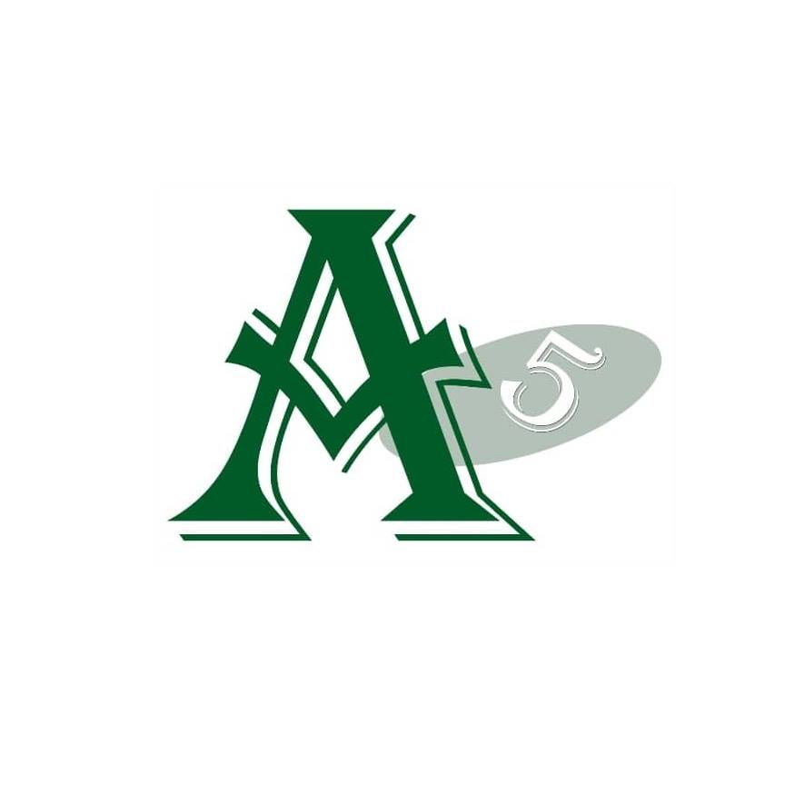 Alpha5 Development Corporation logo