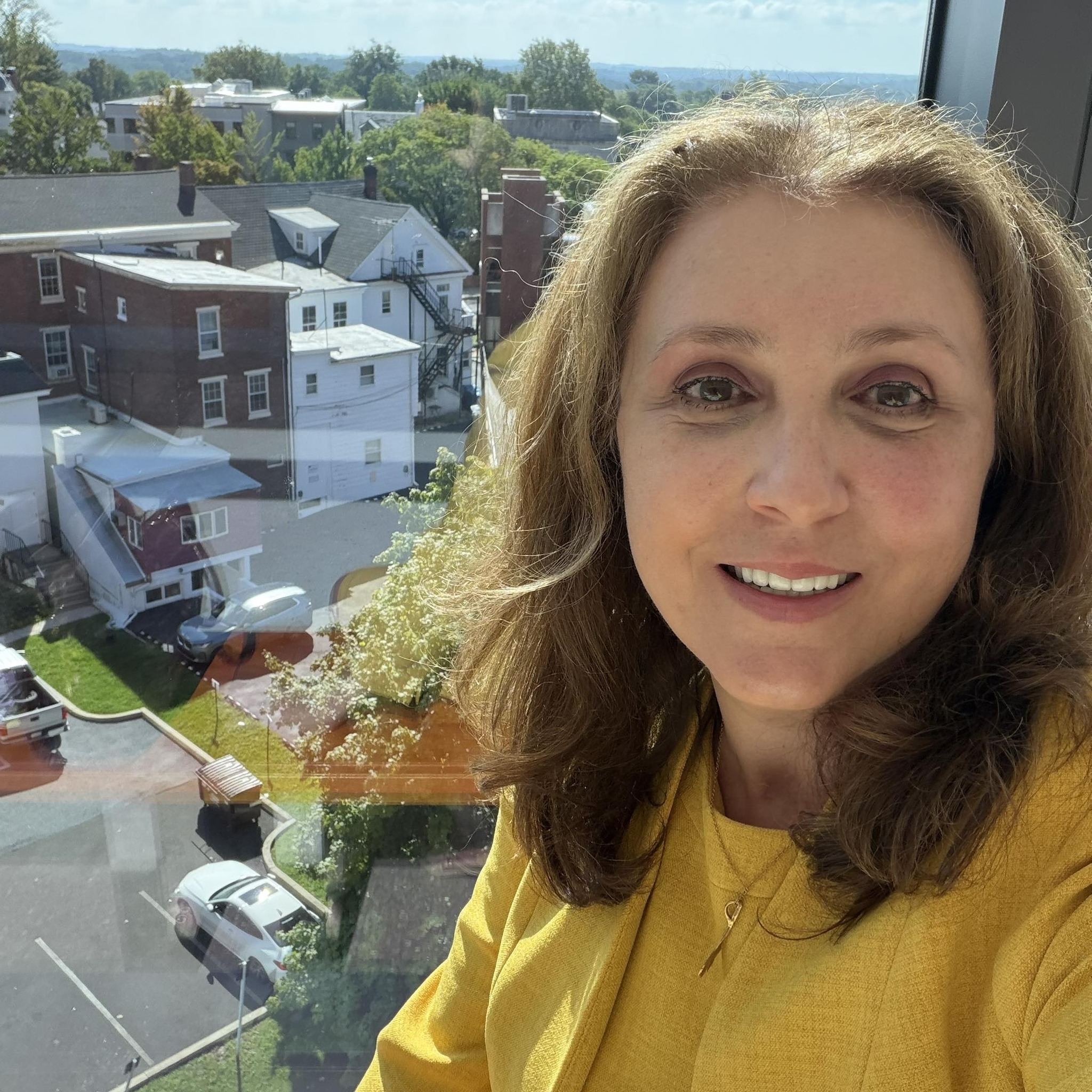 Risoldi Carla V Attorney | New Hope PA