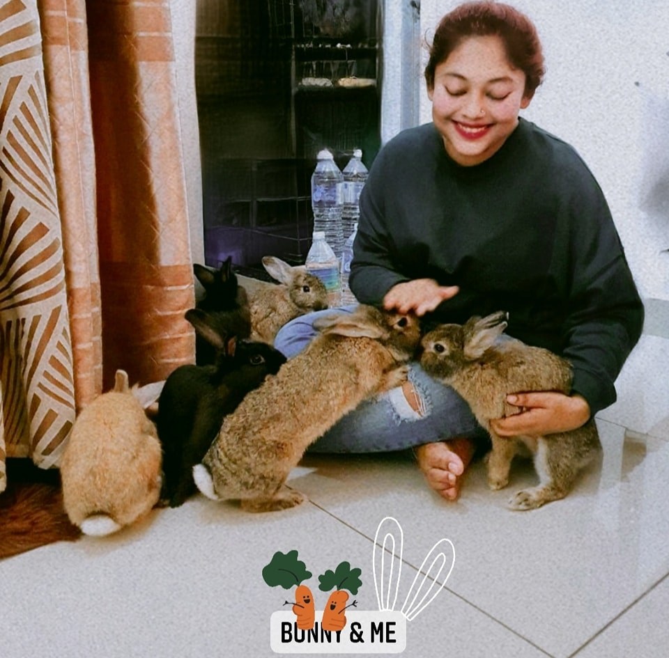 House Rabbit Society | Are papaya leaves safe for buns to eat | Facebook