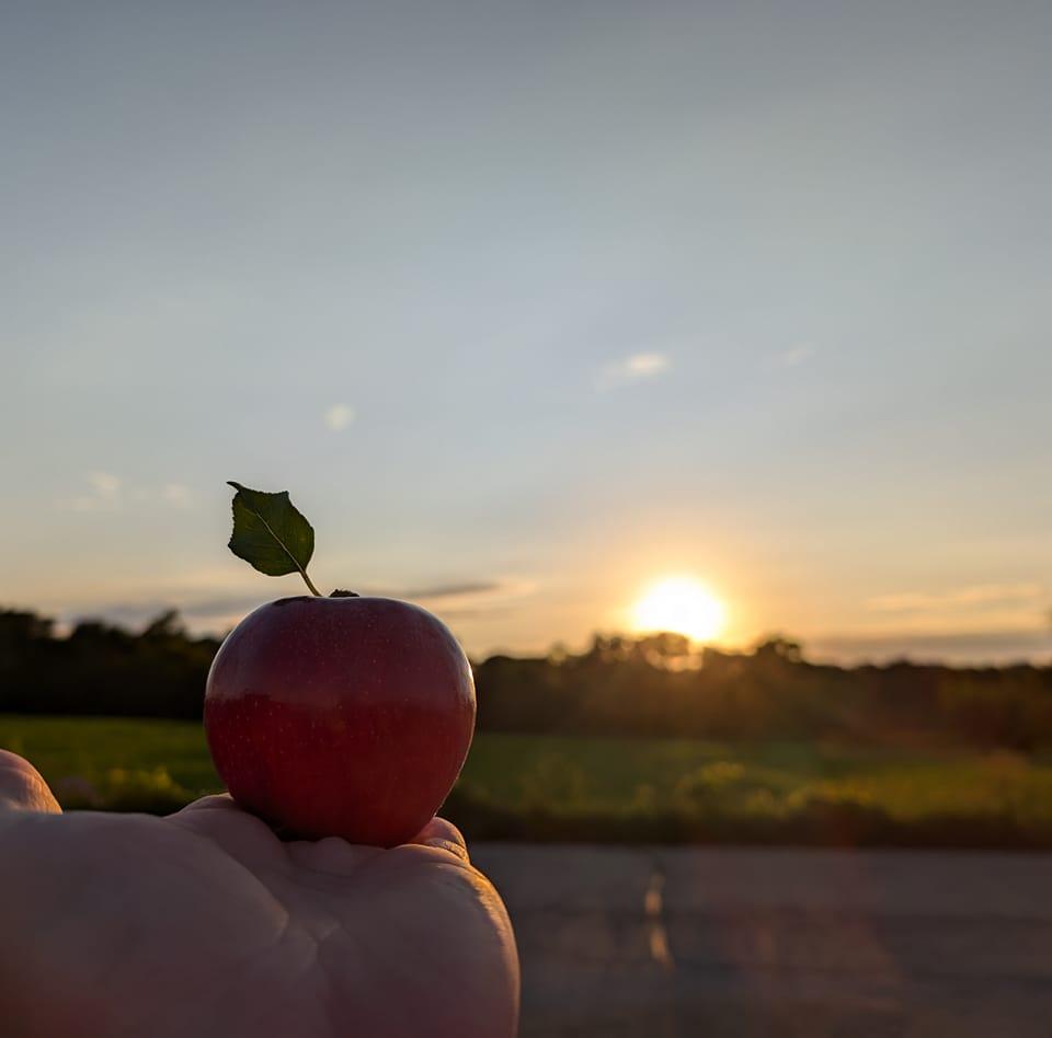 Wisconsin Apples - Wisconsin Apple Growers Association