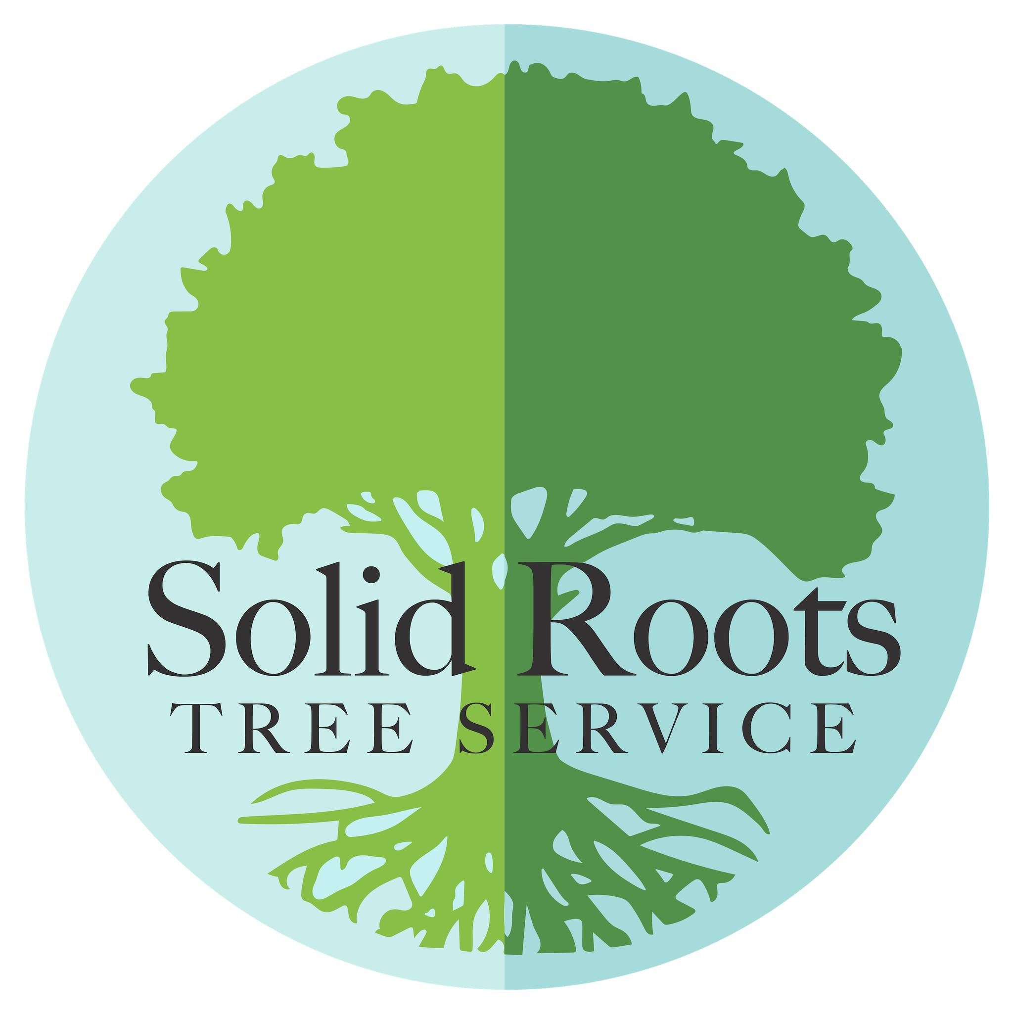 Solid Roots Tree Service Wilmington, NC