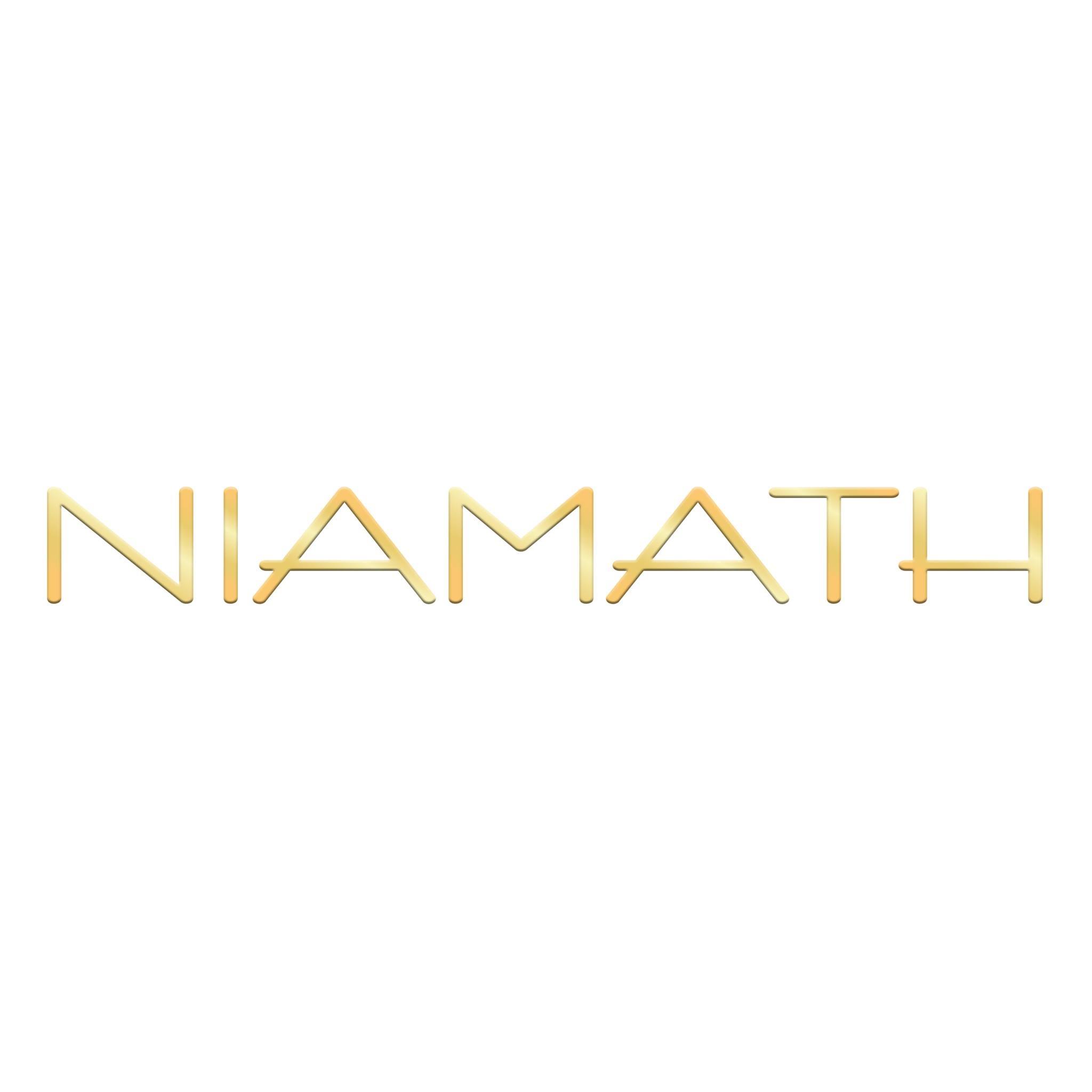 Niamath - Tulle Ombré gown with citrus shaded lace embroidery denotes ...