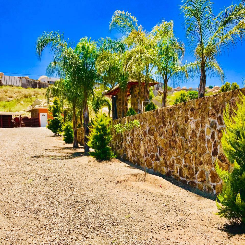 Jardín 
