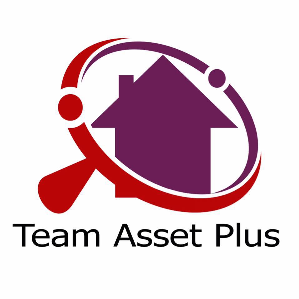 Team Asset Plus