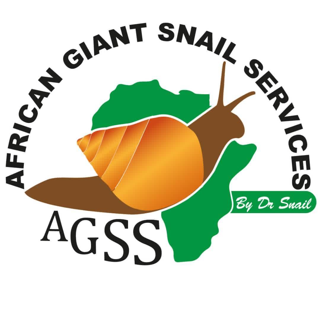 African Giant Snails services