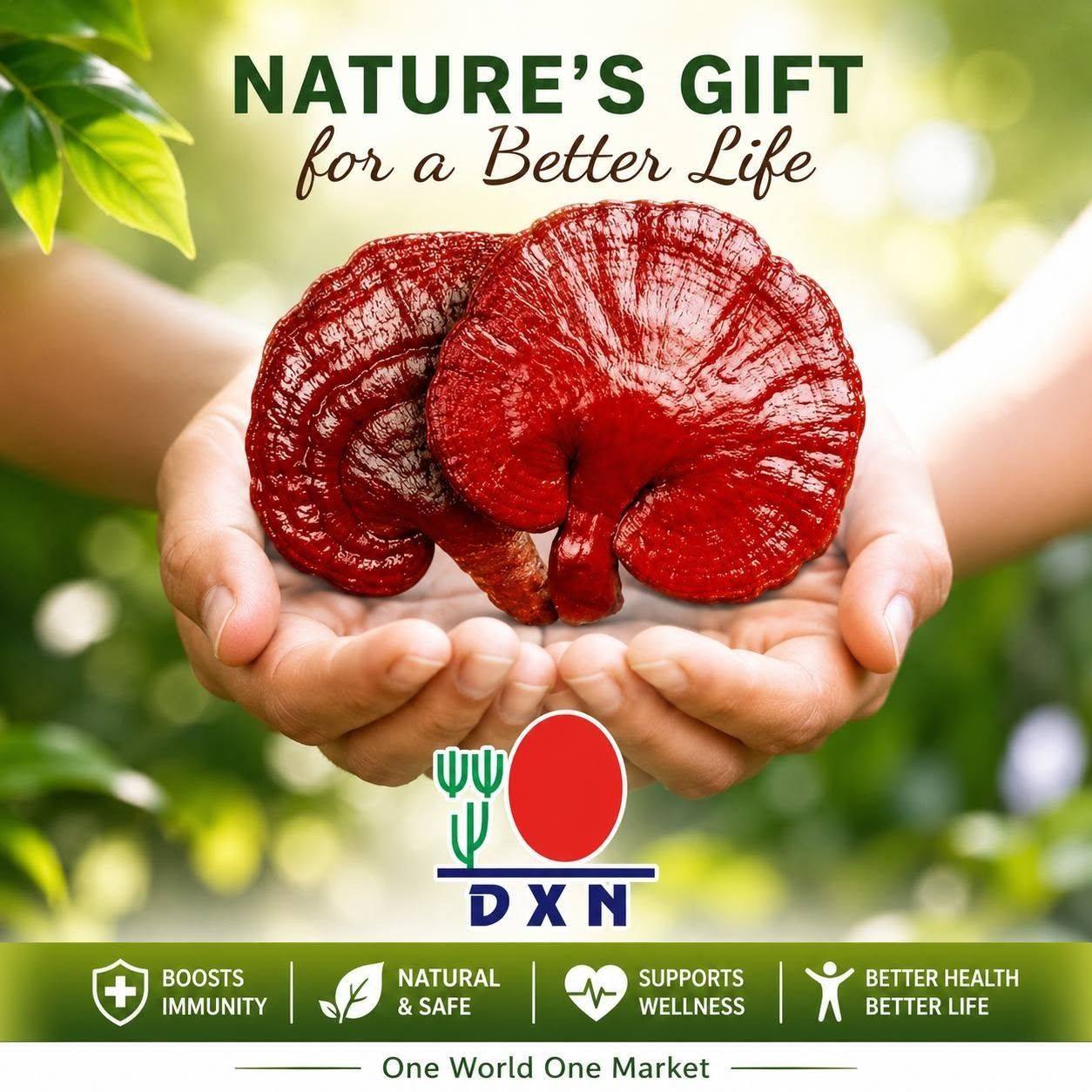 154Same DXN Ganoderma since 1993 | Tarlac