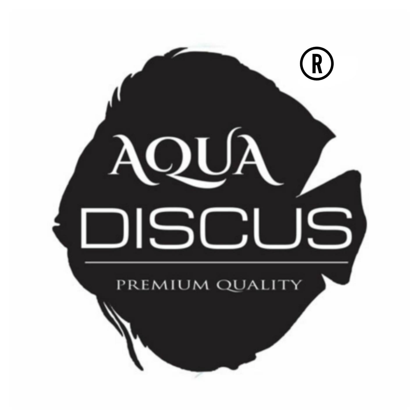 discus.tank | Chennai