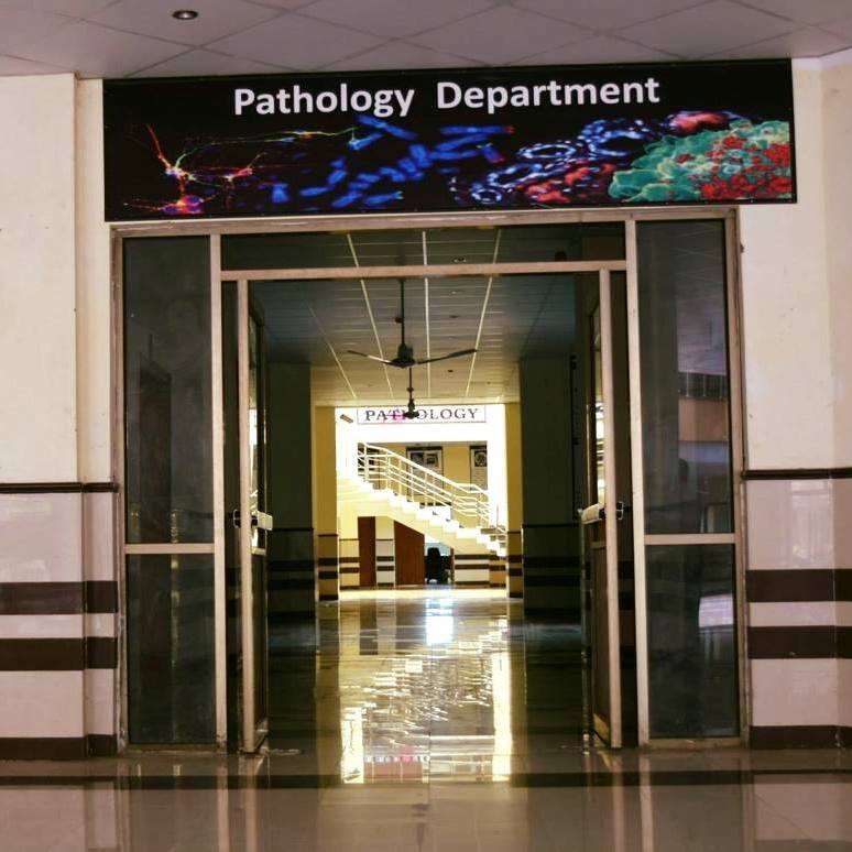 Pathology Department, SLMC | Sahiwal