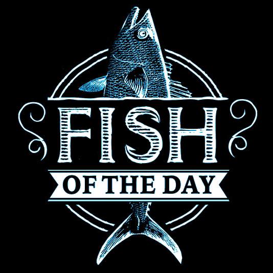 Fish of the day