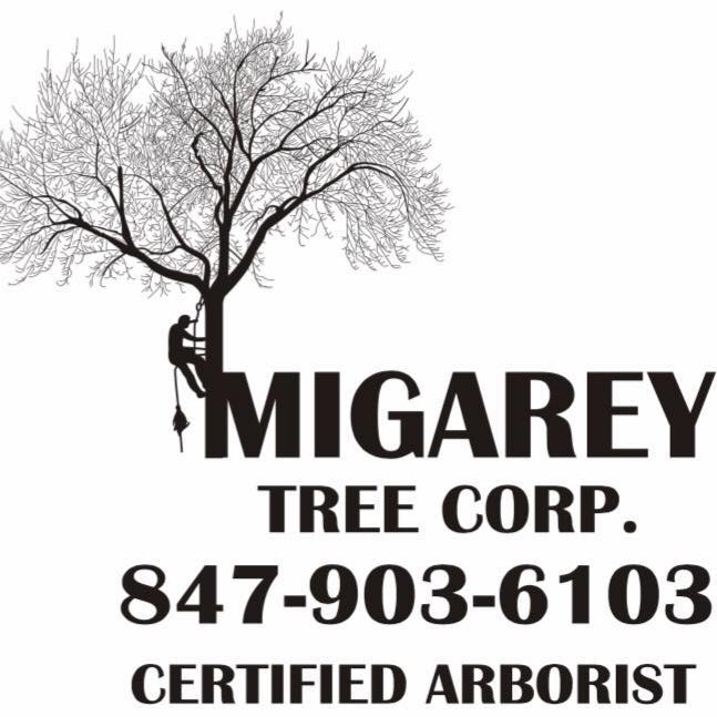 Migarey Tree Corp. | Des Plaines IL