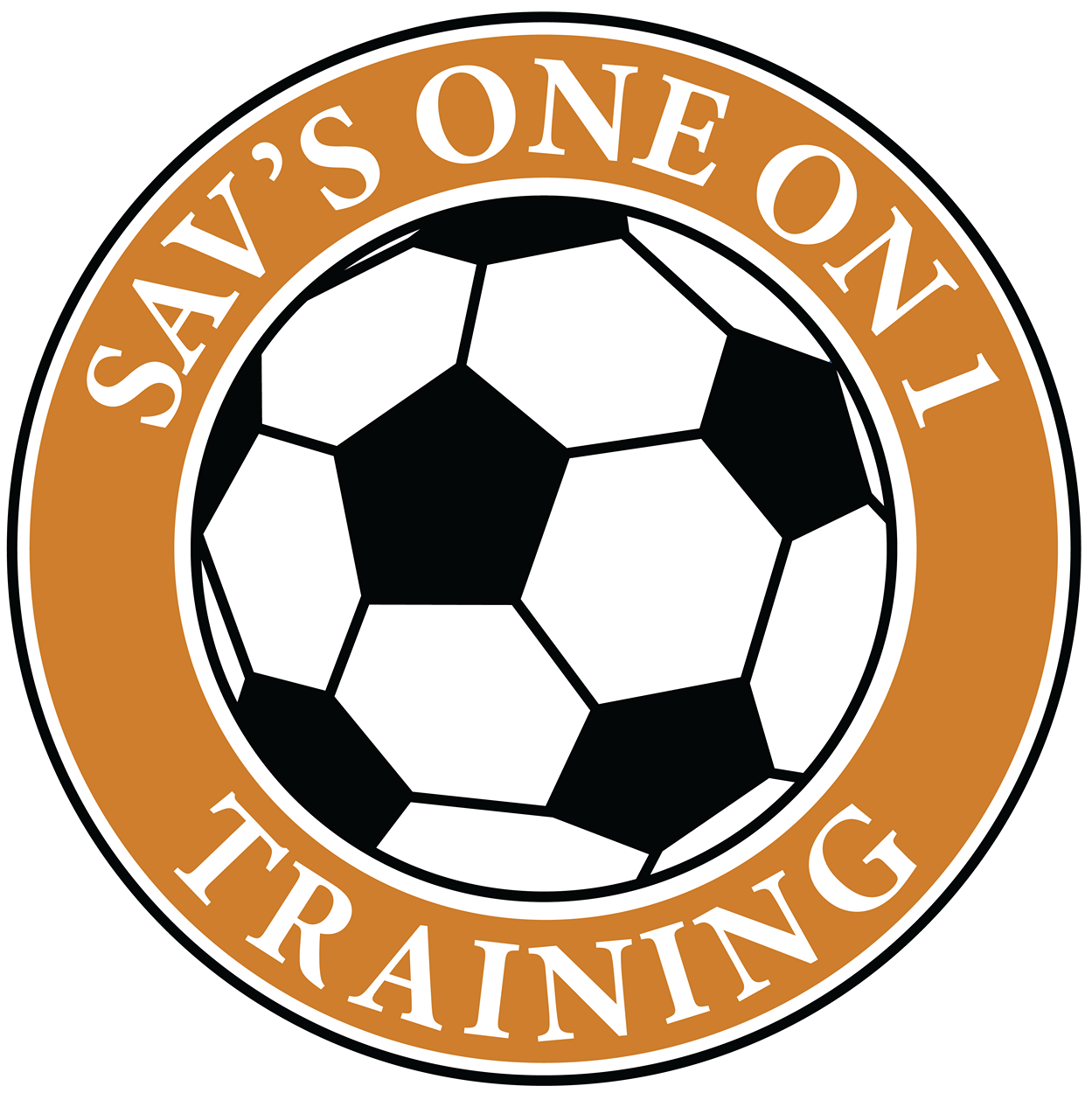 Sav's Oneon1 Training