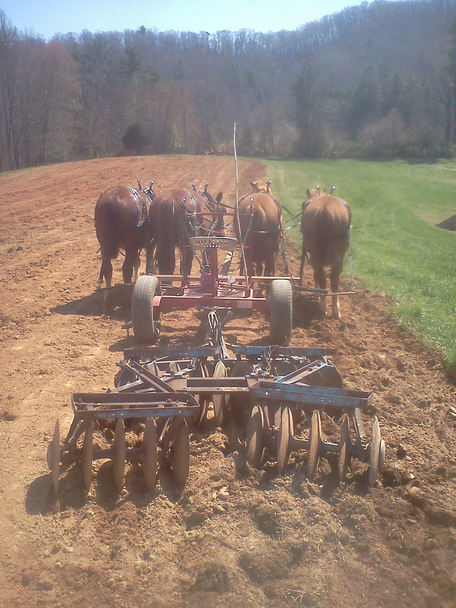 Doubletree Farm