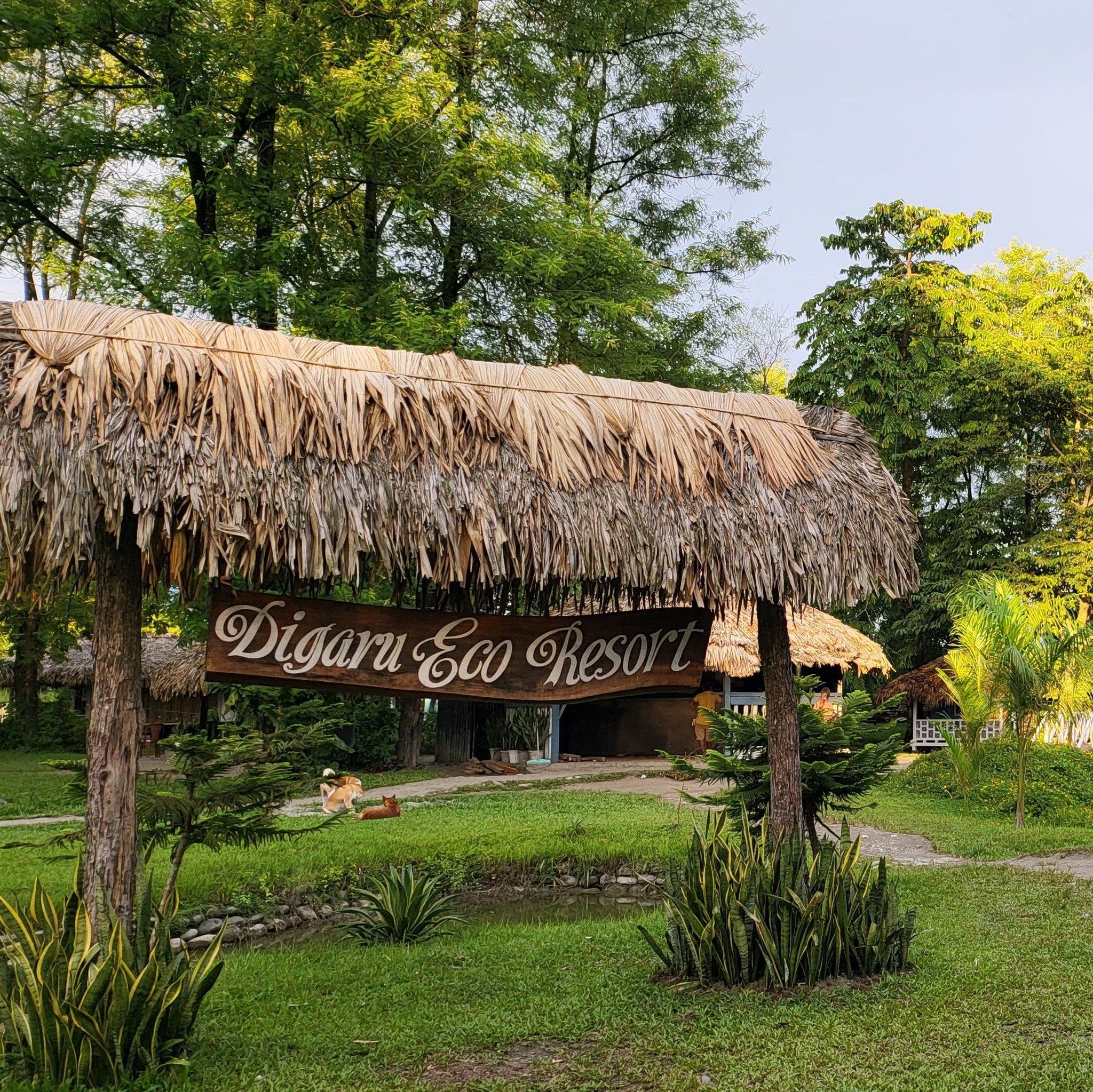 Digaru Eco Resort | Tezu