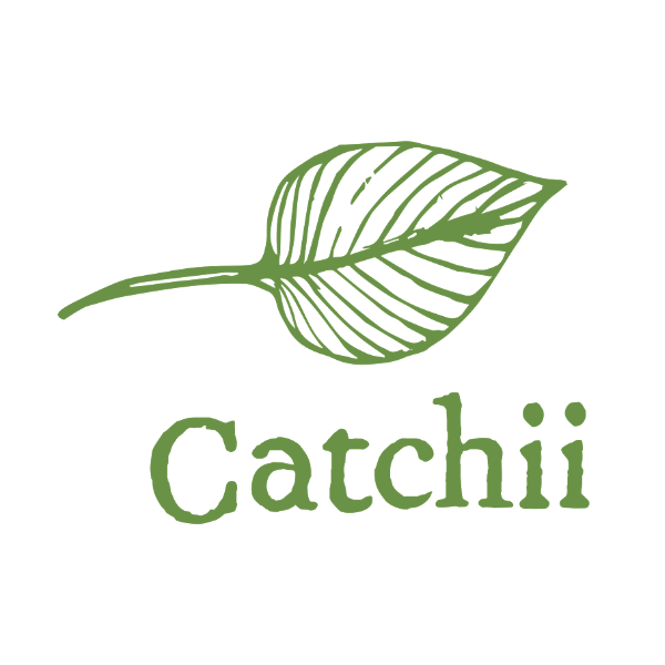 Catchii