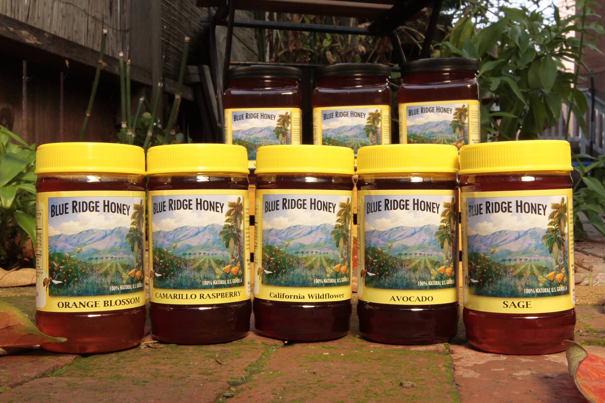 Blue Ridge Honey CA | Ventura CA