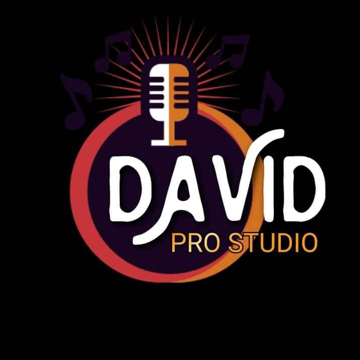 David Pro Studio