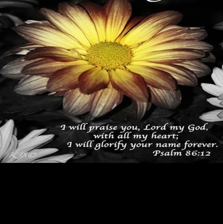My Amazing Savior, Jesus Christ