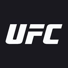 UFC Fans SK/CZ